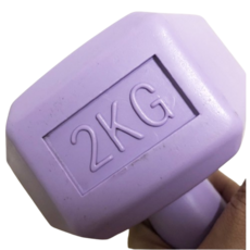 DB01A 家用健身 塑膠啞鈴 臺灣製造, 1個, 2kg