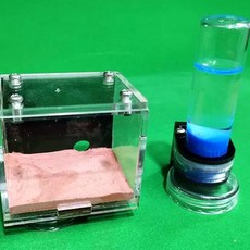 글로아픽 개미사육장 개미 집 급수 애완용 아크릴 키우기, 1개