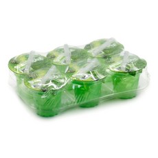 썬라이트 사과맛, 1개, 1.08kg