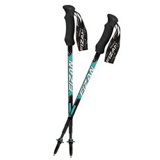 FIZAN 超輕鋁合金收納四節式內鎖式登山杖 (2支一組), 黑藍, 1個