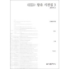 왕유 시전집 3(큰글씨책):교유시(2), 지식을만드는지식