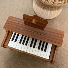 미니 피아노 2옥타브 25건 연습용 피아노, 1개