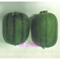 【野菜部屋】K68 黑金剛絲瓜種子 15公克 瓜實短筒型 結果力強 蔬菜種子, 1包