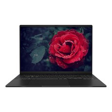 에이수스 2025 비보북 16 코어5 인텔 14세대 지포스 RTX 4050, 매트블랙, 1TB, 64GB, WIN11 Home, V3607VU-RP305