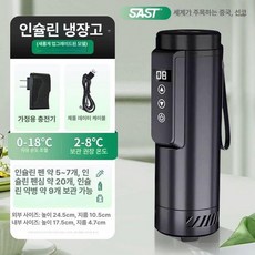 프리미엄 휴대용 인슐린 의약품 스팩 약품보관 보냉, 플레인블랙 0 폴리에스터 폼 알루미늄 내부, 1L