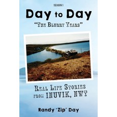(영문도서) Day to Day "The Blurry Years" Paperback, Big Moose Publishing, English, 9781989840689