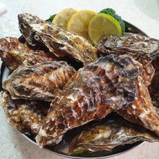 둥이네수산 통영 고압브러쉬 세척 선별 석화 5kg, 1개