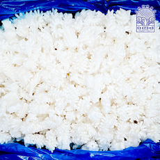 솔방울오징어 5kg 벌크 냉동 손질 대왕오징어 도매용 업소용, 1박스