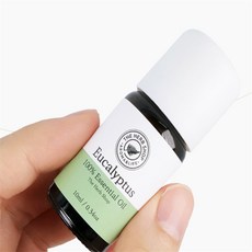 10ml에센셜오일 아로마오일, 유칼립투스