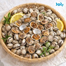 맛도리 [맛도리] 당일채취 국내산 제철 새꼬막 3kg (300미 내외), 1개