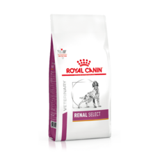 [로얄캐닌] 독 레날 셀렉트 2kg, 닭, 1개