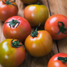 [제철특가] 농장직송 정품 짭짤이 대저토마토, 1박스, 2.5kg(가정용)