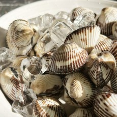 새꼬막 2kg (1kg x 2개) 벌교 직송, 새꼬막 1kg 중 105미 내외 x 2개, 1세트, 새꼬막 1kg 중 105미 내외 x 2개