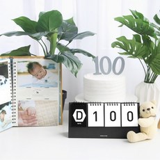 신생아디데이달력 아기 신생아 디데이캘린더 2종 커플 셀프촬영소품 기념 임신 출산, 컬러