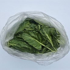 클릭마켓 국내산 근대 작은잎 근대나물 된장국, 1개, 500g