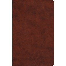 (영문도서) Large Print Value Thinline Bible-ESV Imitation Leather