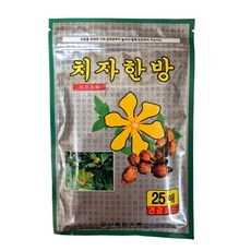 한방 치자 파스 통증 염증 완화 근육통 대용량 25개입, 5세트
