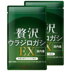 호화 블라디로 가시 EX 200mg 일본의 숲 무첨가 60알입 클로렐라 田七人参 국제 중의사 감수 2봉, 1개, 1g
