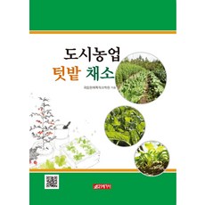 도시농업 텃밭 채소, 21세기사