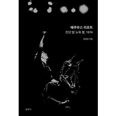 Hongmungak Equus 報告：倫敦發紐約行 1974, 姜泰京 著