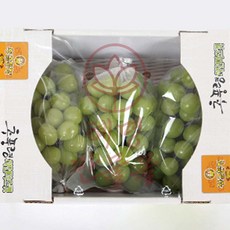 샤인머스켓 2kg 3수 선물 세트 포도 탱글 청포도 자연맛남