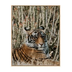 【TangZhen】유화그리기 유화그리기세트 호랑이 울부짖다 산림diy 디지털 유화 거실 서재 현관 호랑이 장식 괘화 수제 채색 아크릴 그림, 730041, 30x40cm블랙액자+물감+붓, 1개