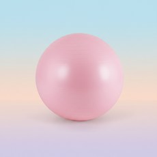 짐볼 55cm 아이워너 안티버스트 홈트레이닝용, 1개