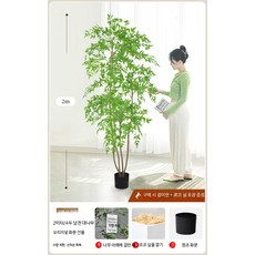 인조 미니정원 소품 조경 조화나무 조화 화분 장식 플랜테리어 나무화분 고급 조화식물, 1개, 2.0m 4봉 남천 대나무