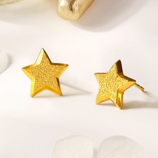 [골드팡] 24k 순금 쉬머링스텔라 귀걸이 여성데일리 행운 소원 별빛 기념일 심플주얼리 여자친구 엄마 고급 럭셔리선물 금테크추천