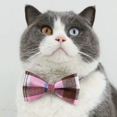 네오바트 컬러 체크 강아지 고양이 반려동물 보타이 넥타이, 핑크체크, 1개