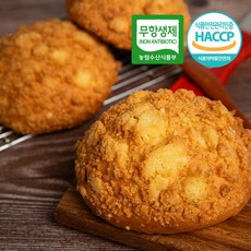 드림푸드 빵굽네 수제 소보루빵 개별포장 10개 1BOX, 75g