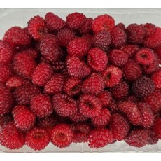 [싱싱제철과일] 인기과일 당일수확 농장직송 생과일 GAP 산딸기, 1개, 500g