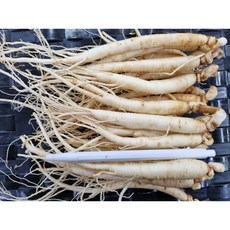 6년근실속형 삼계탕용A급 풍기인삼도매 1kg750g/500g 삼계인삼 무료세척산지직송무료, 500g, 1세트