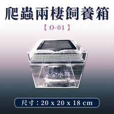 爬蟲先生 爬蟲箱 壓克力透氣爬蟲箱 爬蟲缸 爬蟲兩棲飼養箱 飼養箱 金金水族, 1個, 壓克力兩棲爬蟲箱 0-01