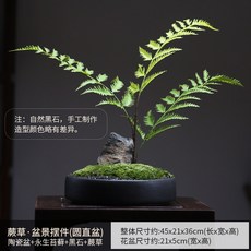 [와비사비] 영생 이끼 프리저브드 분재 오브제 모델하우스 호텔 젠스타일 장식, 고사리 둥근직선 화분