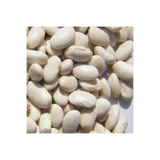흰강낭콩2kg 미국산 GREAT NORTHERN BEANS, 흰강낭콩2kg 미국산 GREAT NORTHERN BEA