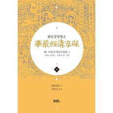 華嚴經清涼疏 20： 第六 他化自在天宮法會(5)：第26 十地品 正宗分 ⑪ - ⑬, 談與書