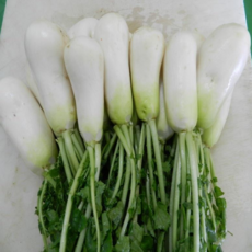 절임 알타리 국내산 이력추적천일염 4세척 알타리무, 1개, 5kg