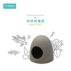 아쿠아텐트 아이보리(소형남미종 산란상), 1개