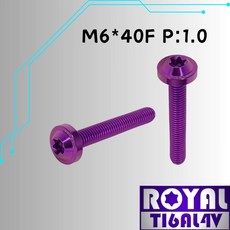 ROYAL 鈦合金飛碟頭螺絲 M6*40F P:1.0 皇家紫, 1個
