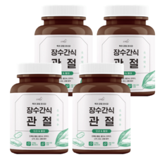 (특허) 오래살개 장수간식 슬개골탈구 관절 영양제 110g, 뼈/관절강화, 4개