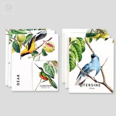 초아디자인 예쁜 새 엽서 엽서세트
