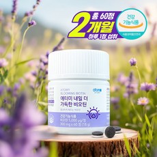 애터미 내일 더 가득한 비오틴 300mg x 60정, 18g, 1개