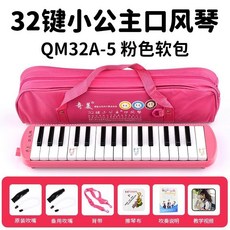 口風琴 37鍵/32鍵 吹管樂器 初學者/專業演奏適用, 2鍵粉色（小公主帆布軟包）+備用管+教材, 1個