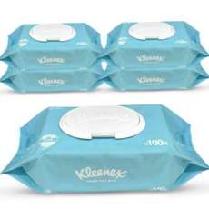 저자극 물티슈 온가족 코튼 100매 대용량 물티슈 도톰한 캡형 신생아 다용도 일회용 휴대용 화장실 외출용