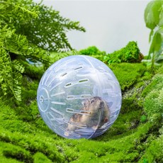 올데이픽 햄스터 운동볼 소동물소품