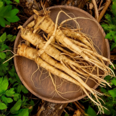 26년 국내산 영주 햇 도라지, 1개, 약도라지 (상품) 1kg