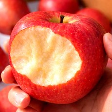 [하루30박스초특가] A급 못난이 사과 부사사과, 1개, 10kg