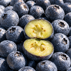 [산지직송] 국산 프리미엄 생 블루베리, 1박스, 로얄과 400g