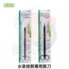 帥哥水族【伊士達 ISTA】專業水草彎剪刀 水草刀 水草剪刀 水草 剪刀 水草用具, 1個, 專業水草彎剪刀